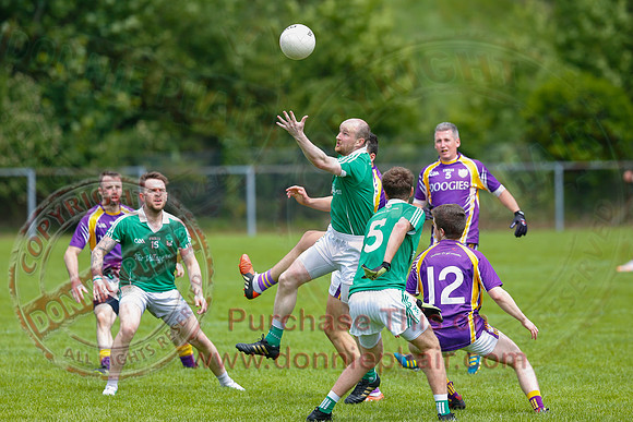 Roslea (1-11) V Derrygonnelly (1-13) in Senior GAA Football League Division One.