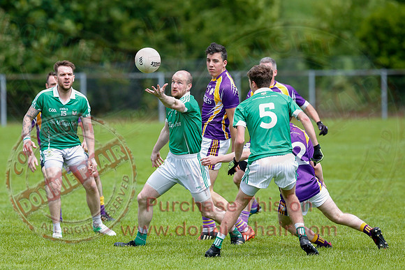 Roslea (1-11) V Derrygonnelly (1-13) in Senior GAA Football League Division One.