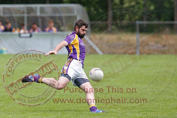 Roslea (1-11) V Derrygonnelly (1-13) in Senior GAA Football League Division One.
