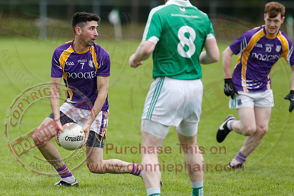 Roslea (1-11) V Derrygonnelly (1-13) in Senior GAA Football League Division One.
