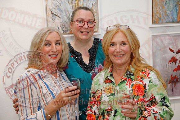 Fermanagh Live Arts Festival Launch at Devenish Gallery, Enniskillen-4