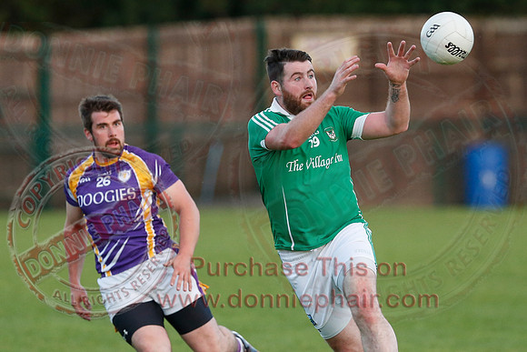 Derrygonnelly (0-16) V Roslea (1-15) in Senior GAA Football League Division One.