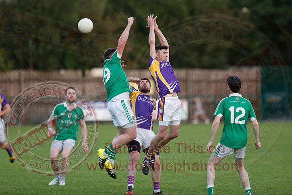 Derrygonnelly (0-16) V Roslea (1-15) in Senior GAA Football League Division One.