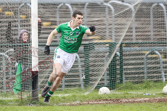 Fermanagh (2-20) V Wexford (3-8) in Allianz National Football League Division 3.