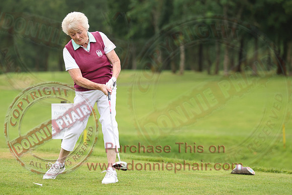 Lady Presidents Day at Enniskillen Golf Club-8