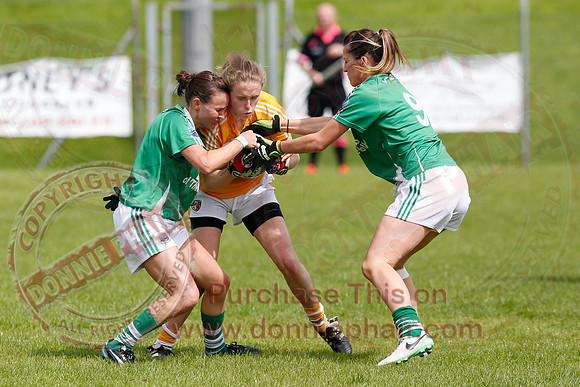 Fermanagh (8-25) V Antrim (0-05) in All-Ireland Ladies Junior GAA Football Championship.