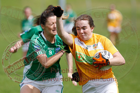 Fermanagh (8-25) V Antrim (0-05) in All-Ireland Ladies Junior GAA Football Championship.