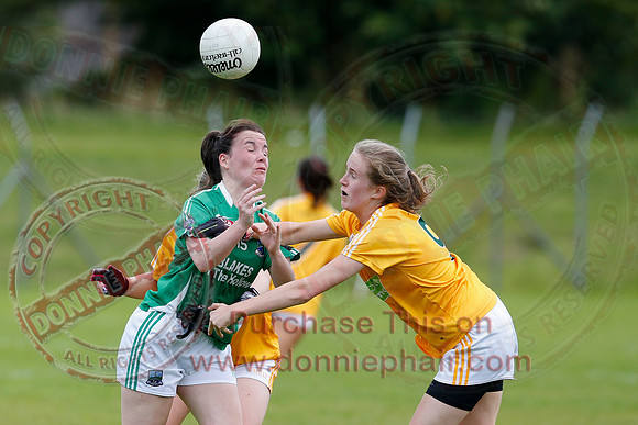 Fermanagh (8-25) V Antrim (0-05) in All-Ireland Ladies Junior GAA Football Championship.