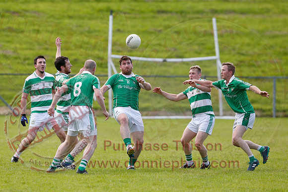 Roslea (4-14) V Teemore (0-09) in Senior GAA Football League Division 1.
