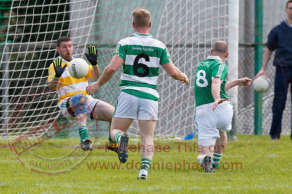 Roslea (4-14) V Teemore (0-09) in Senior GAA Football League Division 1.