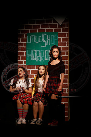 Little Shop of Horrors performed by The Knocks Drama Group