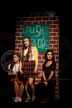 Little Shop of Horrors performed by The Knocks Drama Group