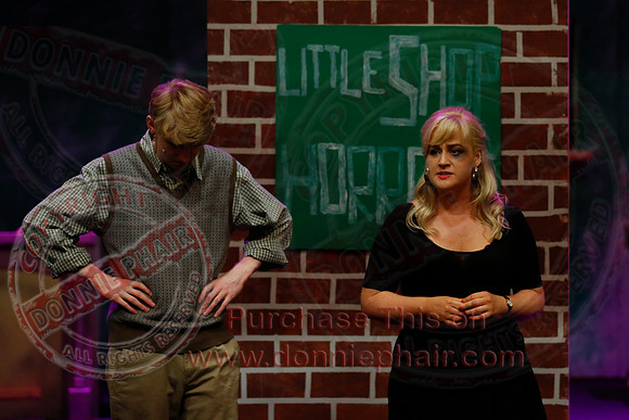 Little Shop of Horrors performed by The Knocks Drama Group