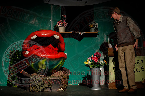 Little Shop of Horrors performed by The Knocks Drama Group