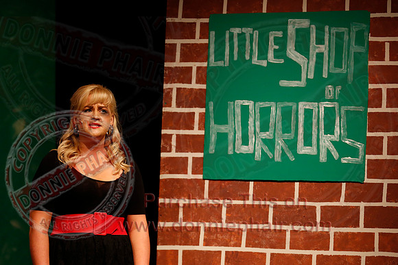 Little Shop of Horrors performed by The Knocks Drama Group