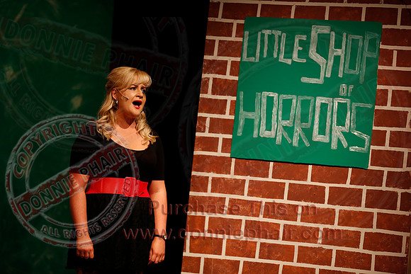 Little Shop of Horrors performed by The Knocks Drama Group