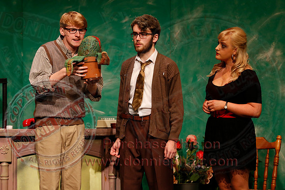 Little Shop of Horrors performed by The Knocks Drama Group