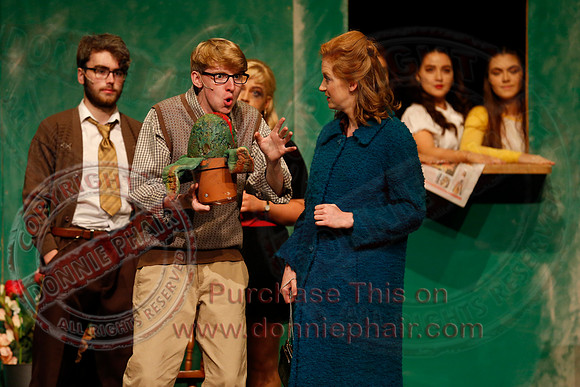Little Shop of Horrors performed by The Knocks Drama Group