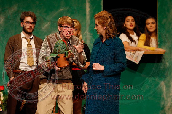 Little Shop of Horrors performed by The Knocks Drama Group