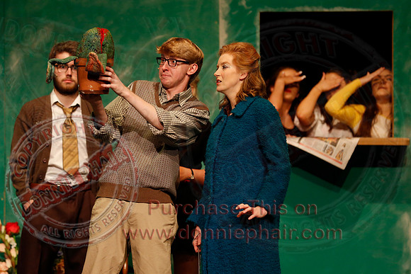 Little Shop of Horrors performed by The Knocks Drama Group