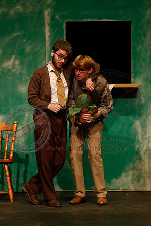 Little Shop of Horrors performed by The Knocks Drama Group