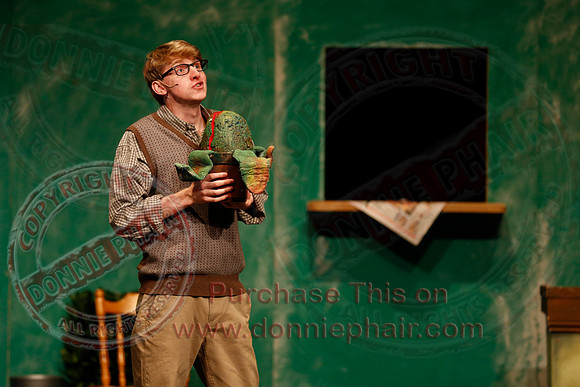 Little Shop of Horrors performed by The Knocks Drama Group