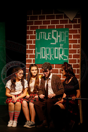 Little Shop of Horrors performed by The Knocks Drama Group