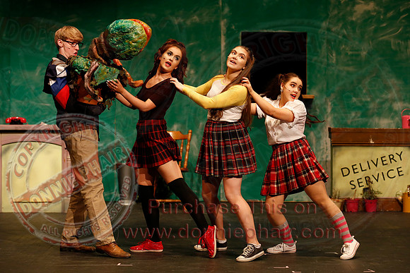 Little Shop of Horrors performed by The Knocks Drama Group
