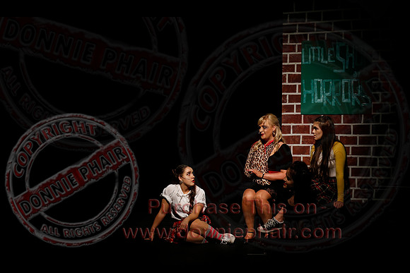 Little Shop of Horrors performed by The Knocks Drama Group
