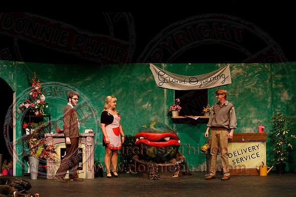Little Shop of Horrors performed by The Knocks Drama Group