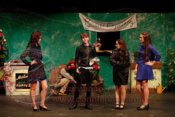 Little Shop of Horrors performed by The Knocks Drama Group