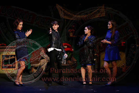 Little Shop of Horrors performed by The Knocks Drama Group