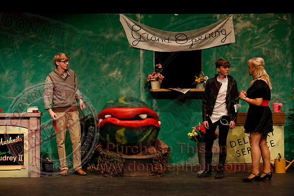 Little Shop of Horrors performed by The Knocks Drama Group