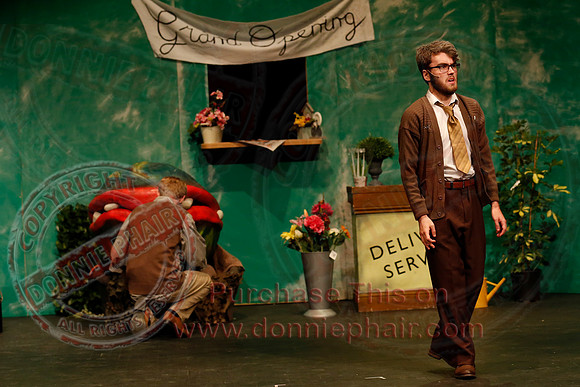 Little Shop of Horrors performed by The Knocks Drama Group