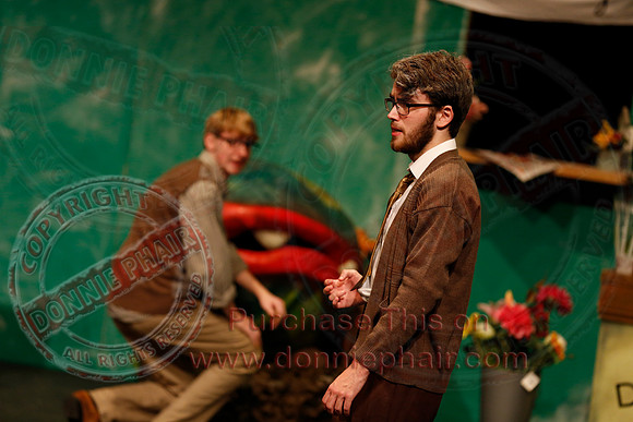 Little Shop of Horrors performed by The Knocks Drama Group
