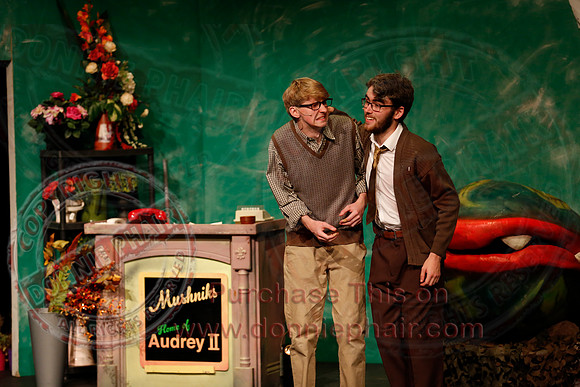 Little Shop of Horrors performed by The Knocks Drama Group
