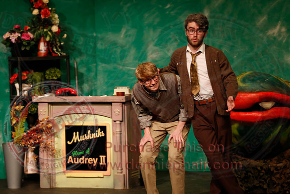 Little Shop of Horrors performed by The Knocks Drama Group