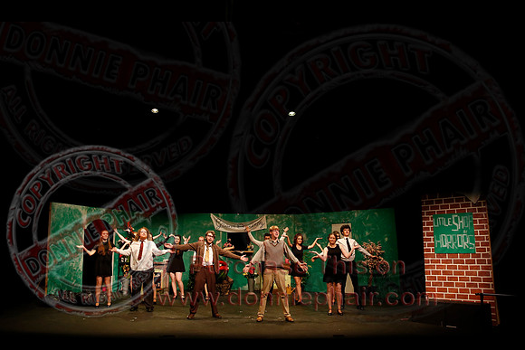 Little Shop of Horrors performed by The Knocks Drama Group