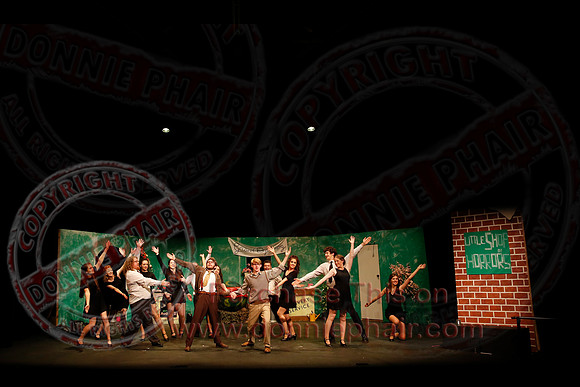Little Shop of Horrors performed by The Knocks Drama Group