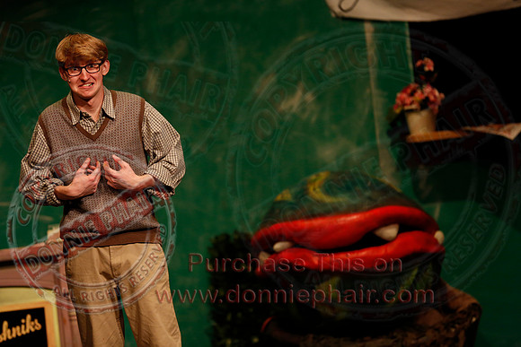 Little Shop of Horrors performed by The Knocks Drama Group