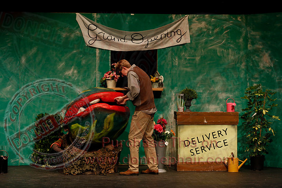 Little Shop of Horrors performed by The Knocks Drama Group
