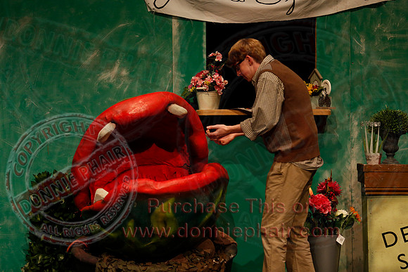 Little Shop of Horrors performed by The Knocks Drama Group