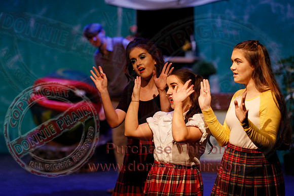 Little Shop of Horrors performed by The Knocks Drama Group