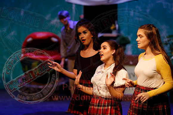 Little Shop of Horrors performed by The Knocks Drama Group
