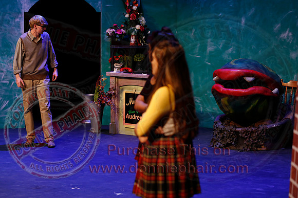 Little Shop of Horrors performed by The Knocks Drama Group