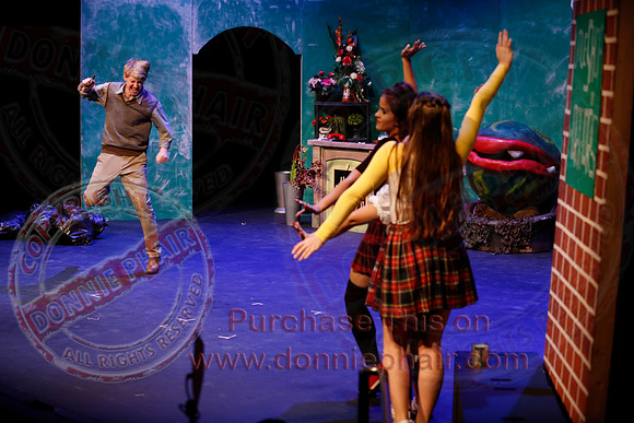 Little Shop of Horrors performed by The Knocks Drama Group