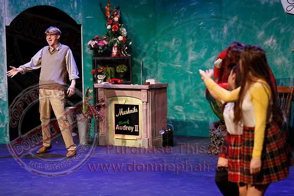 Little Shop of Horrors performed by The Knocks Drama Group