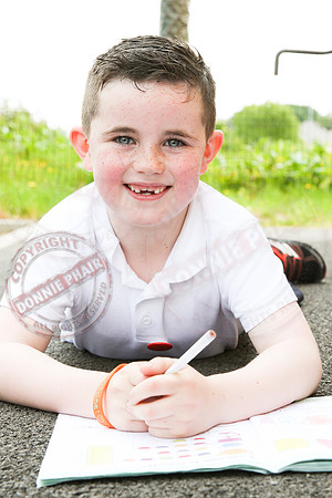 Fermanagh Sunshine