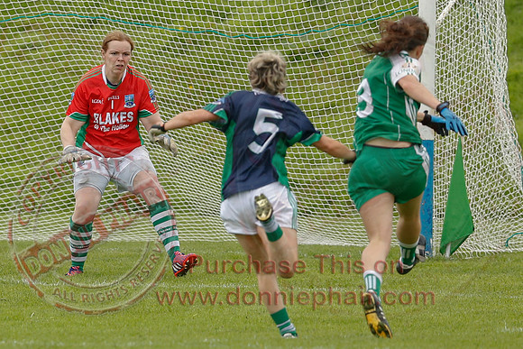 Fermanagh (1-14) V London (3-17) in All-Ireland Junior Football Championship Semi-Final.
