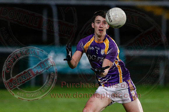 Derrygonnelly (2-15) V Roslea (0-10) in Senior GAA Football Championship Semi-Final